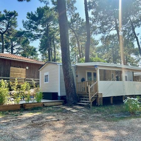 La Cabane Des Pins Lège-Cap-Ferret Buitenkant foto