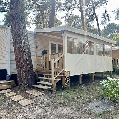 La Cabane Des Pins Lège-Cap-Ferret Buitenkant foto