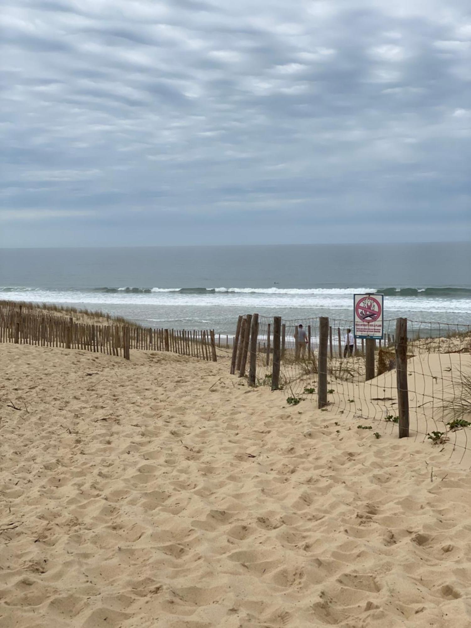 La Cabane Des Pins Lège-Cap-Ferret Buitenkant foto