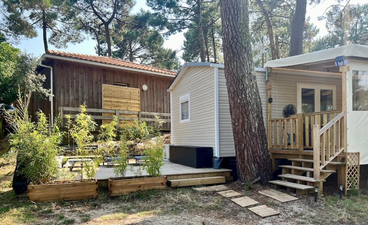 La Cabane Des Pins Lège-Cap-Ferret Buitenkant foto