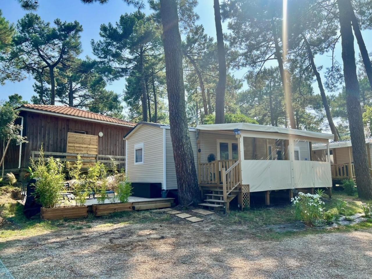 La Cabane Des Pins Lège-Cap-Ferret Buitenkant foto